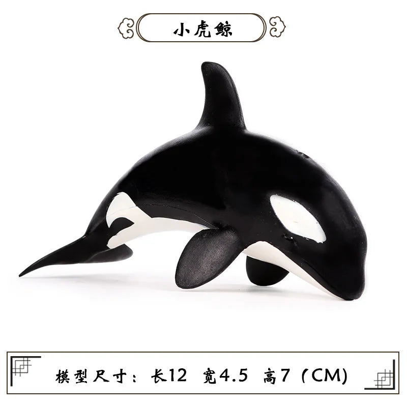 Simulation Marine Animal World Model Polar Bear Reindeer Beluga Whale Walrus Curilensis Children Cognitive Plastic Toys figurine