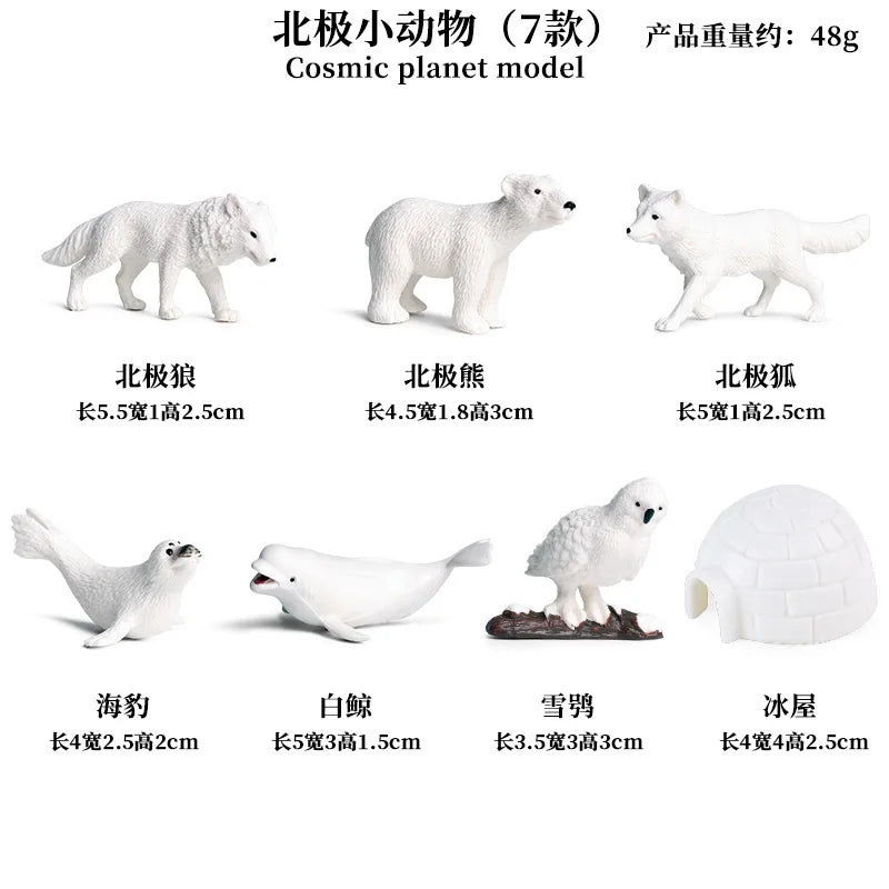Simulation Marine Animal World Model Polar Bear Reindeer Beluga Whale Walrus Curilensis Children Cognitive Plastic Toys figurine