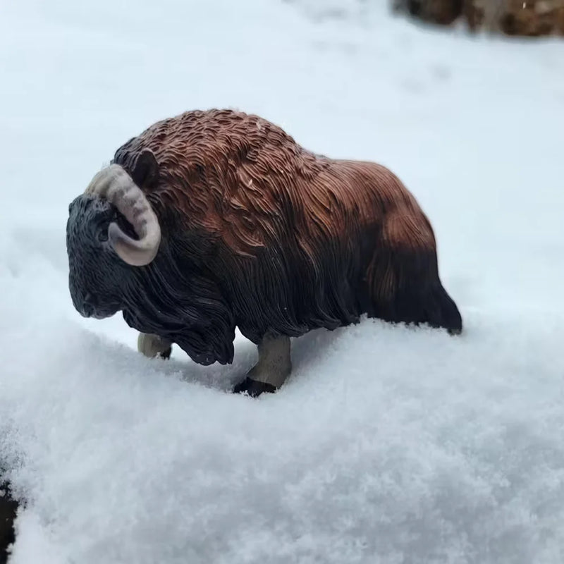 Toymany Simulation Musk Ox Polar Animal Model Toy Mini Figures Dolls Action Figurines Toys for Children Gift Cake Decoration