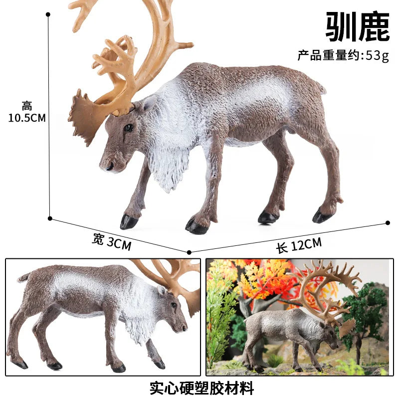 Simulation Marine Animal World Model Polar Bear Reindeer Beluga Whale Walrus Curilensis Children Cognitive Plastic Toys figurine